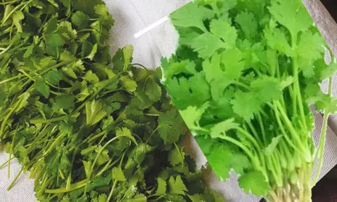உழவர் சந்தைகளில் கொத்தமல்லி விலை உயர்வு