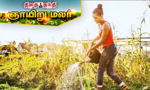 உடல் பருமனை கட்டுப்படுத்தும் காலை நேர பழக்கங்கள்