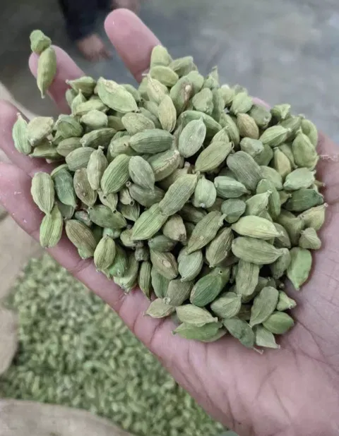 ஏலக்காய் விலை கிடுகிடு உயர்வு