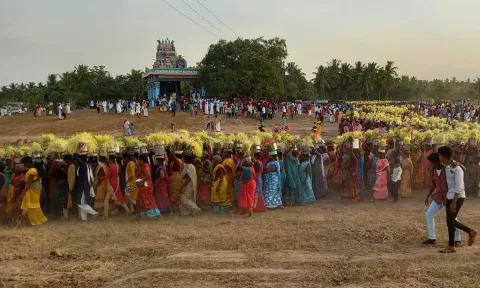 பிடாரியம்மன் கோவிலில் முளைப்பாரி விழா