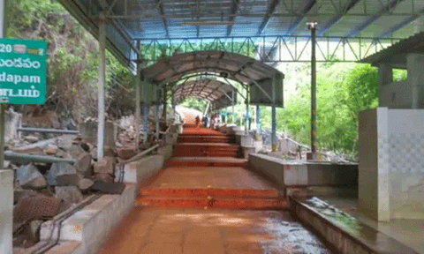 திருப்பதி மலைப்பாதையில் வேலி அமைக்க கோரி ஐகோர்ட்டில் வழக்கு