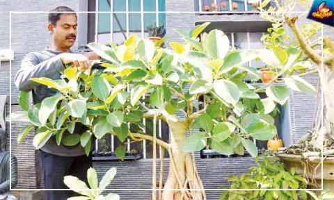 மனதை மகிழ்ச்சியாக்கும் 'இல்லற பூங்கா'