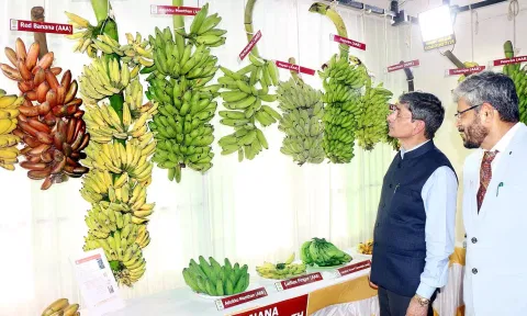 வேளாண் தொழில்நுட்பங்கள் விவசாயிகளை சென்றடைய வேண்டும் -தமிழக கவர்னர் ஆர்.என்.ரவி பேச்சு