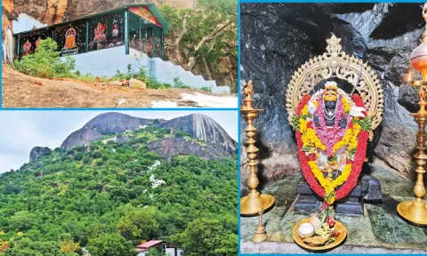 அகத்தியர் மருத்துவம் பார்த்த தோரணமலை