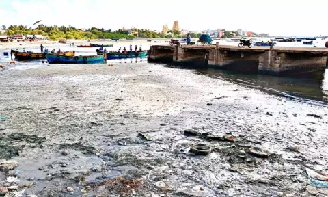 ராமேசுவரத்தில் 50 மீட்டர் உள்வாங்கிய கடல்