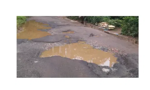 பந்தலூர் அருகே குண்டும், குழியுமான சாலையால் பொதுமக்கள் அவதி