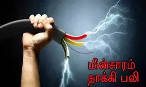 மின்சாரம் தாக்கி 2 வாலிபர்கள் பலி