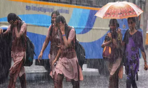 4 மாவட்டங்களில் நாளை பள்ளி, கல்லூரிகளுக்கு விடுமுறை