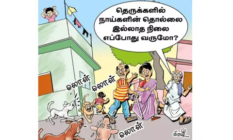 தெருநாய் தொல்லைக்கு எப்போது விடிவுகாலம்?