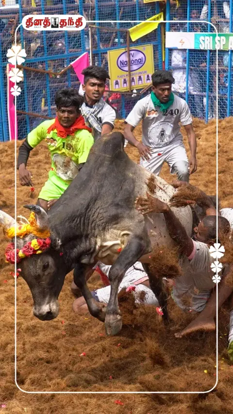 அலங்காநல்லூர்,அவனியாபுரம்,பாலமேடு,ஜல்லிக்கட்டு..!வெற்றி பெற்றவர் விவரம் இதோ..?