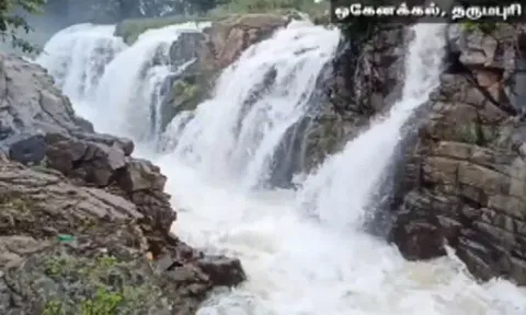 தொடர் மழை.. ஒகேனக்கல் காவிரி ஆற்றில் நீர்வரத்து கணிசமாக அதிகரிப்பு