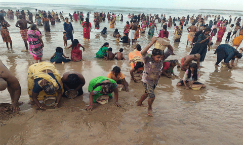உவரி கோவில் வைகாசி விசாக திருவிழா - பக்தர்கள் கடல் மண் சுமந்து நேர்த்தி கடன்