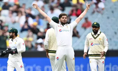 Image Courtesy: @TheRealPCB