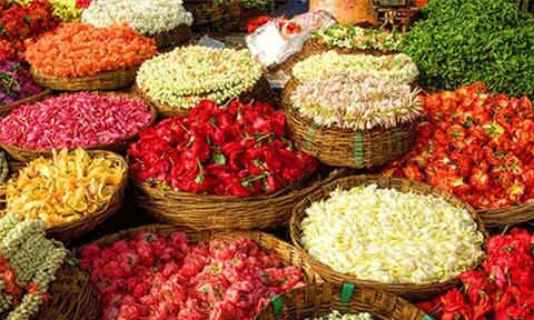 ஓணம் பண்டிகை எதிரொலி.. பூக்கள் விலை கிடுகிடு உயர்வு