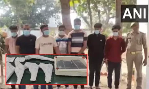 உ.பி.யில் ஆன்லைன் வழியே ஆயுத விற்பனை; 7 பேர் கைது