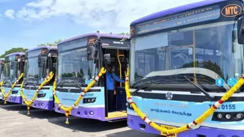 சென்னையில் 408 தாழ்தள பஸ்கள் இயக்கம்-மாநகர போக்குவரத்துக் கழகம்