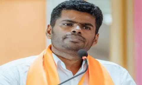 அண்ணா பல்கலை. பாலியல் சம்பவம்: காவல்துறையும் முதல்-அமைச்சரும் முழு பொறுப்பேற்க வேண்டும் - அண்ணாமலை