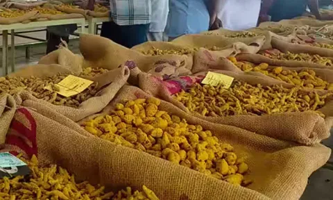 பொங்கல் பண்டிகை: ஈரோடு மஞ்சள் மார்க்கெட்டுக்கு 9 நாட்கள் விடுமுறை
