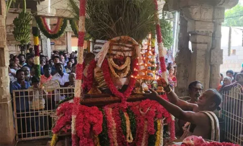 வள்ளியூர் முருகன் கோவிலில் சித்திரை திருவிழா தொடங்கியது
