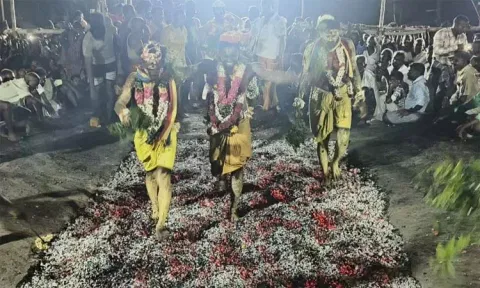 ஊத்துக்கோட்டை: திரௌபதி அம்மன் கோவிலில் தீமிதி திருவிழா