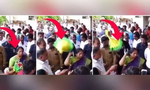 அதிகாரி கொடுத்த பூங்கொத்தை தூக்கி வீசிய மந்திரி - வைரல் வீடியோ