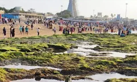 மகா கும்பாபிஷேகம் நிறைவடைந்த நிலையில் திருச்செந்தூர் கடலில் ஏற்பட்ட மாற்றம்