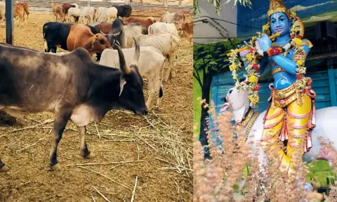 திருப்பதி எஸ்.வி. கோசாலையில் 16-ந்தேதி கோகுலாஷ்டமி விழா