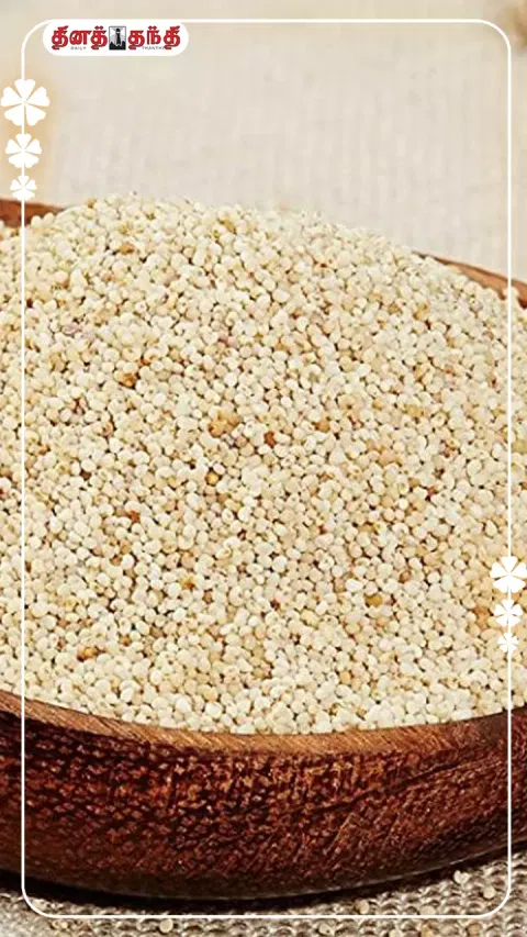 கசகசா விதை :பார்க்க சிறிது..ஆனால் பலன் அதிகம்..!