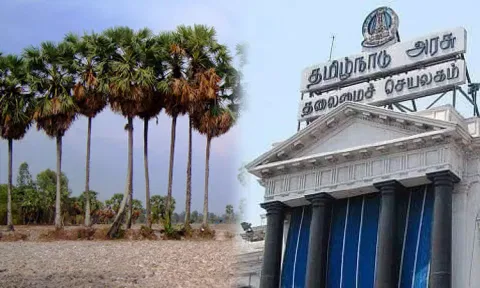 பனை மரம் வெட்ட கலெக்டர் அனுமதி கட்டாயம் - அரசாணை வெளியீடு