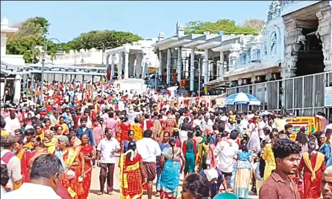 திருச்செந்தூர் கோவிலில் குவிந்த பக்தர்கள் - 5 மணிநேரம் காத்திருந்து சாமி தரிசனம்
