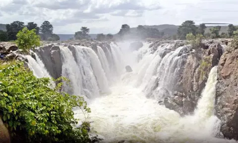ஒகேனக்கல் காவிரி ஆற்றின் நீர்வரத்து 24,000 கனஅடியாக அதிகரிப்பு