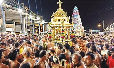 தங்க தேரில் பவனி வந்த சுவாமி ஜெயந்திநாதர், வள்ளி-தெய்வானை