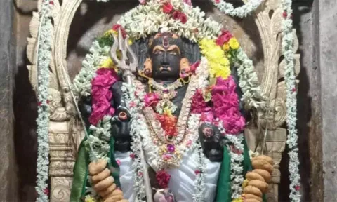 வளர்பிறை அஷ்டமி: திருச்சேறை சாரபரமேஸ்வரர் கோவிலில் கால பைரவருக்கு சிறப்பு பூஜை