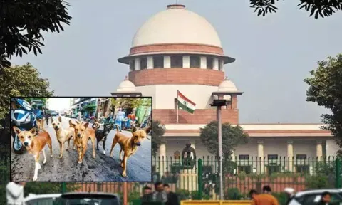 தெரு நாய்கள் வழக்கு: 7ம் தேதி தீர்ப்பளிக்கும் சுப்ரீம் கோர்ட்டு