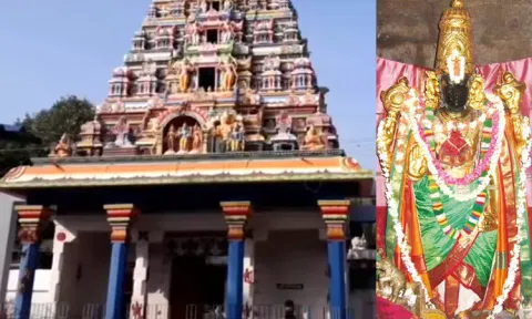 சர்ப்ப தோஷம் போக்கும் மலைமண்டல பெருமாள் கோவில்