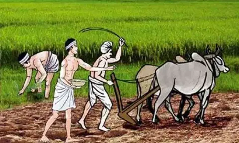 தனித்துவ அடையாள எண் பெறாத விவசாயிகளுக்கு மத்திய அரசின் உதவித்தொகை கிடைக்குமா? - வேளாண் அதிகாரிகள் விளக்கம்