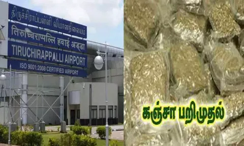 திருச்சியில் ரூ.3 கோடி மதிப்பிலான உயர்ரக கஞ்சா பறிமுதல்