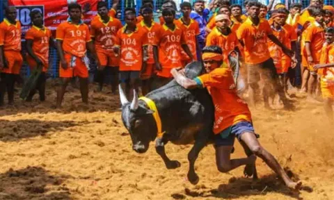 கோப்பு படம்