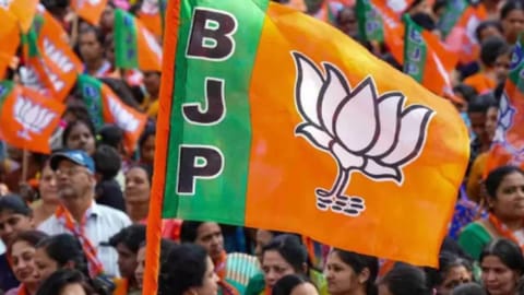 BJP Flag