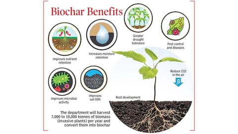 The department will harvest 7,000 to 10,000 tonnes of biomass (invasive plants) per year and convert them into biochar