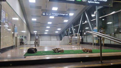 Egmore Metro Station