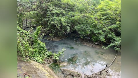 Sewage discharged on Metro Water land in Ayanavaram