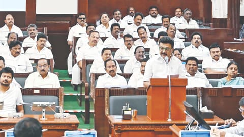 Chief Minister MK Stalin in TN Assembly