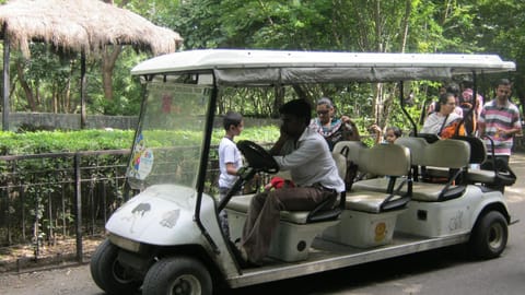 Battery-operated buggies