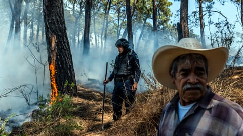 Mexico cartel assess