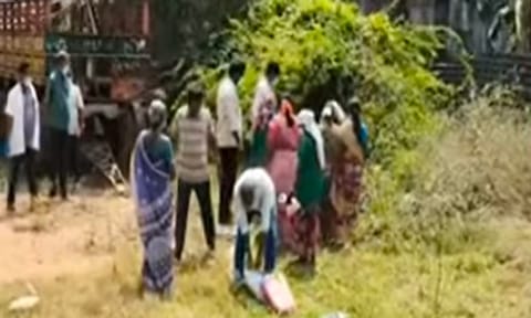 Over 50 crows found dead in Cuddalore amid bird flu concerns