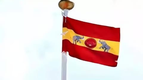 TVK flag