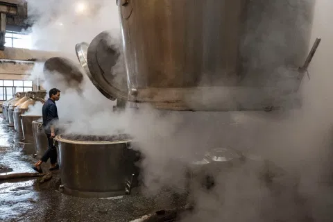 Wine Production