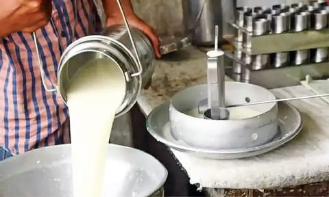 Representative image for milk