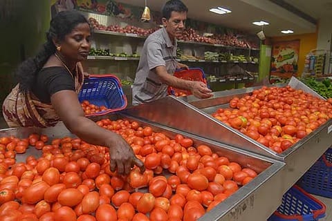 Representative Image for vegetables